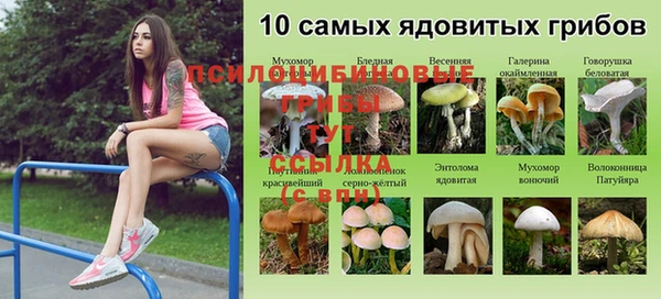 СК Нефтегорск