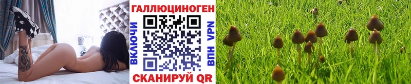 Галлюциногенные грибы ЛСД Североморск